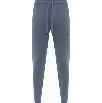 Pánské kalhoty Pánské kalhoty Aeronautica Militare Flying Team dark blue washed