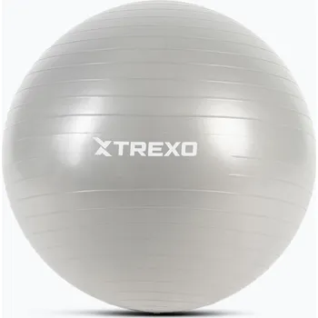 Gymnastický míč Gymnastický míč XTREXO TXO-B4Z008-GY 65 cm grey