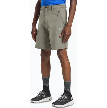 Pánské kraťasy Pánské trekové šortky Jack Wolfskin Pico Trail stone