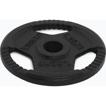 Litinový kotouč XTREXO TRX-ICP001 1,25 kg chrom