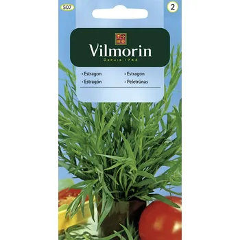 Vilmorin Classic estragon 0,1 g Semeno Vilmorin Classic estragon 0,1 g