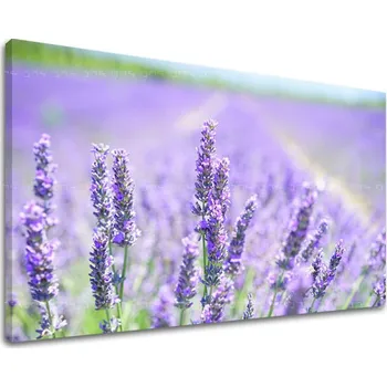 Obraz Nástěnná malba KVĚTINY KV092E11