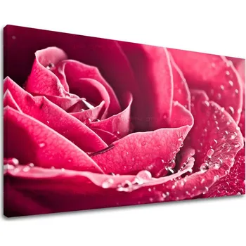 Obraz Nástěnná malba KVĚTINY KV008E11