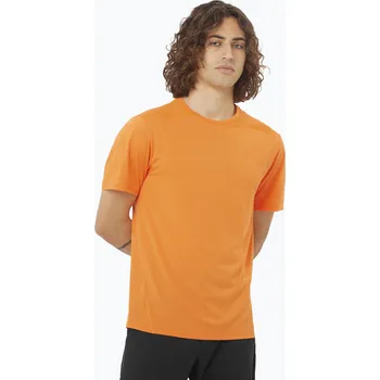 Pánské tričko Pánské tričko Salomon Outline Tee turmeric