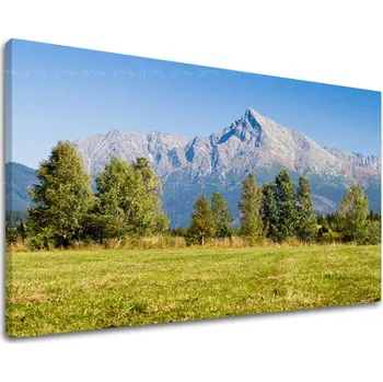 Obraz Nástěnná malba SLOVENSKO SK006E11