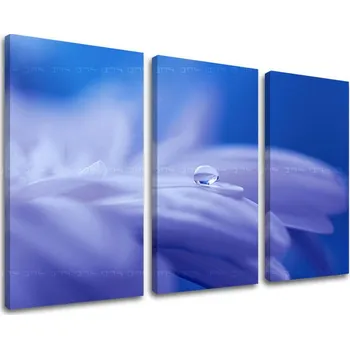 Obraz 3dílná nástěnná malba KVĚTINY KV087E30