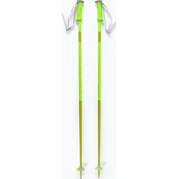 Zimní sport Lyžařské hůlky Salomon Polar neon yellow