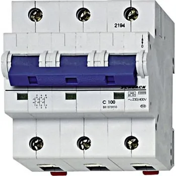 Jistič Jistič D 80A/3/D BR593800 SCH fgFORTE s.r.o. 15-06-097-53280