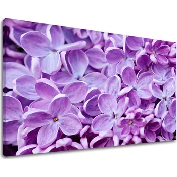 Obraz Nástěnná malba KVĚTINY KV046E11