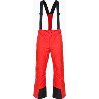 Snowboardové kalhoty Pánské lyžařské kalhoty 4F M361 red