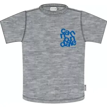 Pánské tričko Cannondale Lifestyle pánské triko krátký rukáv Heather Grey/Sonic Blue vel. M