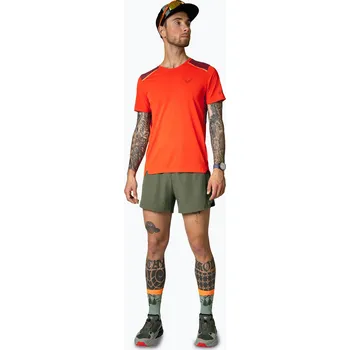 Pánské oblečení Pánské běžecké šortky DYNAFIT Sky thyme