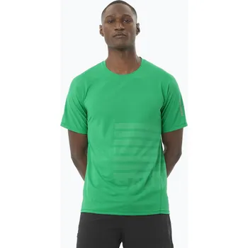 Pánské oblečení Pánské běžecké tričko Salomon Sense Aero Tee GFX parakeet / spearmintme