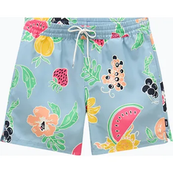 Pánské kraťasy Pánské kraťasy Vans Primary Print Elastic Boardshort