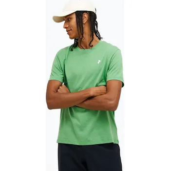 Pánské tričko Pánské tričko Peak Performance Explore Graphic peppermint