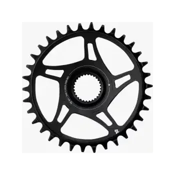 Převodník na kolo Race Face převodník BG4 Direct Mount 55 36T převodník černá