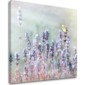 Obraz Nástěnná malba KVĚTINY KV077E12