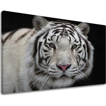 Obraz Nástěnná malba ZVÍŘATA ZV012E11