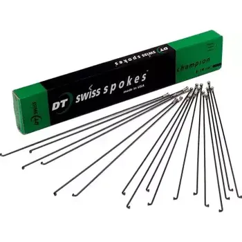 Sport DT Swiss Champion drát černý 2,0 mm 300 mm