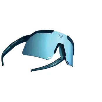 Sluneční brýle Dynafit Ultra Evo brýle Blueberry/Storm Blue