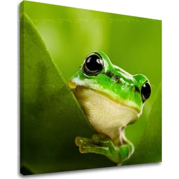 Obraz Nástěnná malba ZVÍŘATA ZV038E12