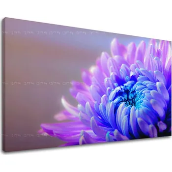 Obraz Nástěnná malba KVĚTINY KV081E11