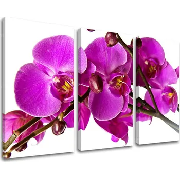 Obraz 3dílná nástěnná malba KVĚTINY KV053E30