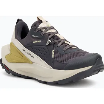 Dámská treková obuv Dámské turistické boty Salomon Elixir GTX 9 nine iron/silver cloud/sponge