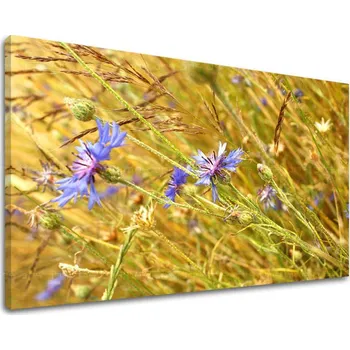 Obraz Nástěnná malba KVĚTINY KV082E11