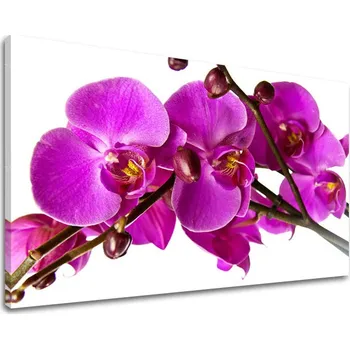 Obraz Nástěnná malba KVĚTINY KV053E11