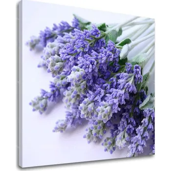 Obraz Nástěnná malba KVĚTINY XOBKV122E12