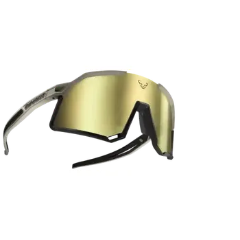 Dynafit Trail Evo brýle Rock Khaki/Black Out cat. 3