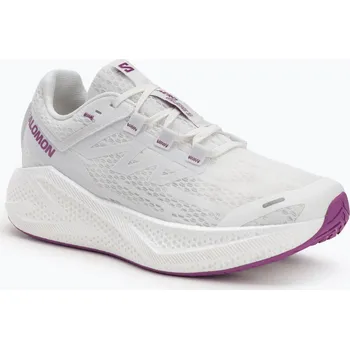 Pánská běžecká obuv Pánské běžecké boty Salomon Aero Glide 3 white/white/willowherb