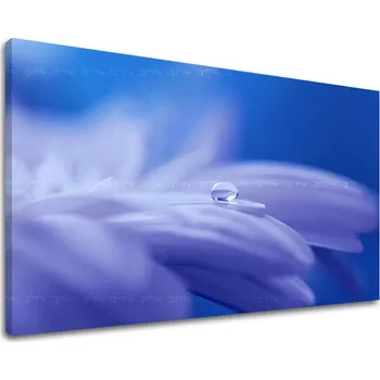 Obraz Nástěnná malba KVĚTINY KV087E11