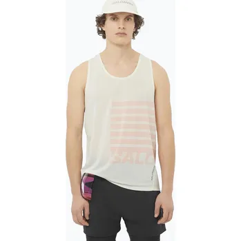 Pánské tílko Pánské běžecké tílko Salomon Sense Aero Singlet GFX icicle