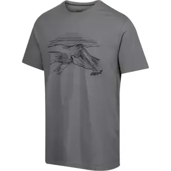 Pánské tričko Inov-8 Graphic Tee Helvellyn pánské tričko krátký rukáv Grey vel. XL