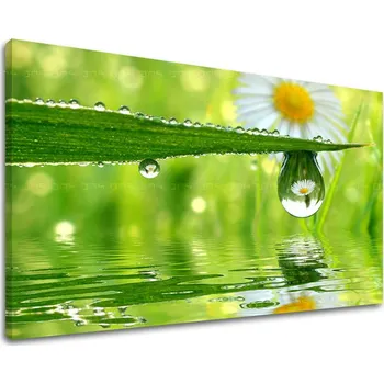 Obraz Nástěnná malba KVĚTINY KV016E11