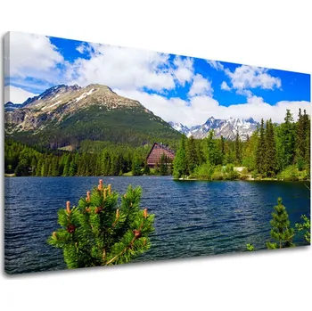 Obraz Nástěnná malba SLOVENSKO SK014E11