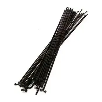 Zapletené kolo DT Swiss Stainless drát černý 2.0 298mm