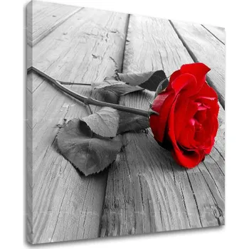 Obraz Nástěnná malba KVĚTINY XOBKV115E12