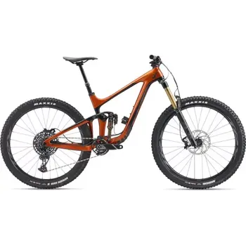 Horské kolo Giant Reign Advanced Pro 1 29 horské kolo vel. L