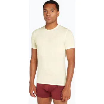 Pánské tričko Pánské trekingové tričko Icebreaker Anatomica Crewe undyed