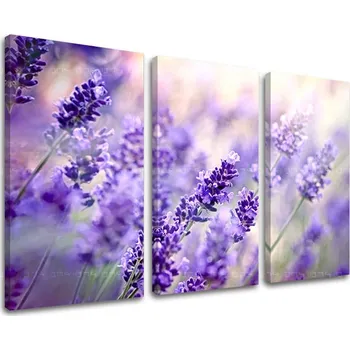 Obraz 3dílná nástěnná malba KVĚTINY KV070E30