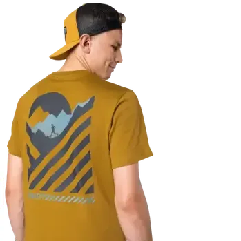 Pánské tričko Dynafit 24/7 Graphic pánské triko krátký rukáv Relic/Striped Elevation vel. S