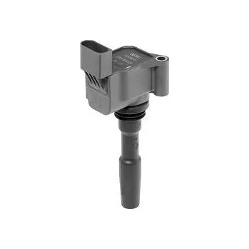 Zapalovací cívka Zapalovací cívka BorgWarner (BERU) ZSE223