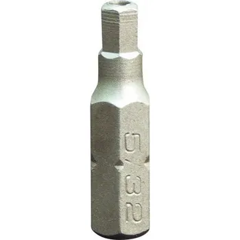 Bit PROJAHN bit inbus 3.0 s otvorem 1/4"x25