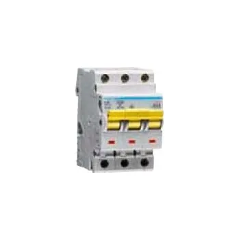 Jistič Jistič NBN325 25/3/B 10kA HAG HAGER Electro s.r.o. 15-06-092-41250