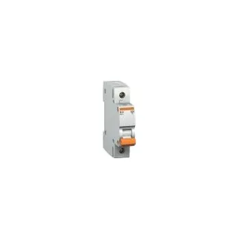 Jistič Jistič MG Domae 10/C/1 11712 6kA Schneider Electric CZ 15-02-100-12100