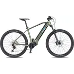 4EVER Exstream Team 820 horské elektrokolo Snake green/hologram vel. 17