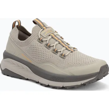 Pánské tenisky Pánské boty SKECHERS Switch Back Zenventure beige